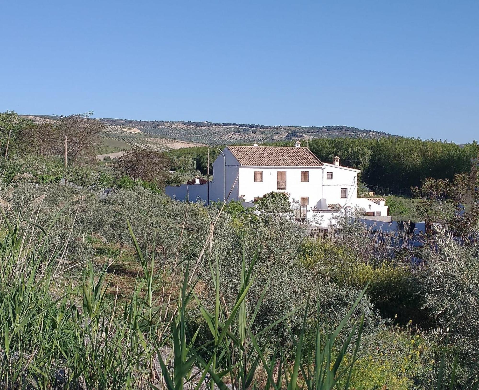 Bauernhof Cortijo Mirasol Santa Cruz de Alhama